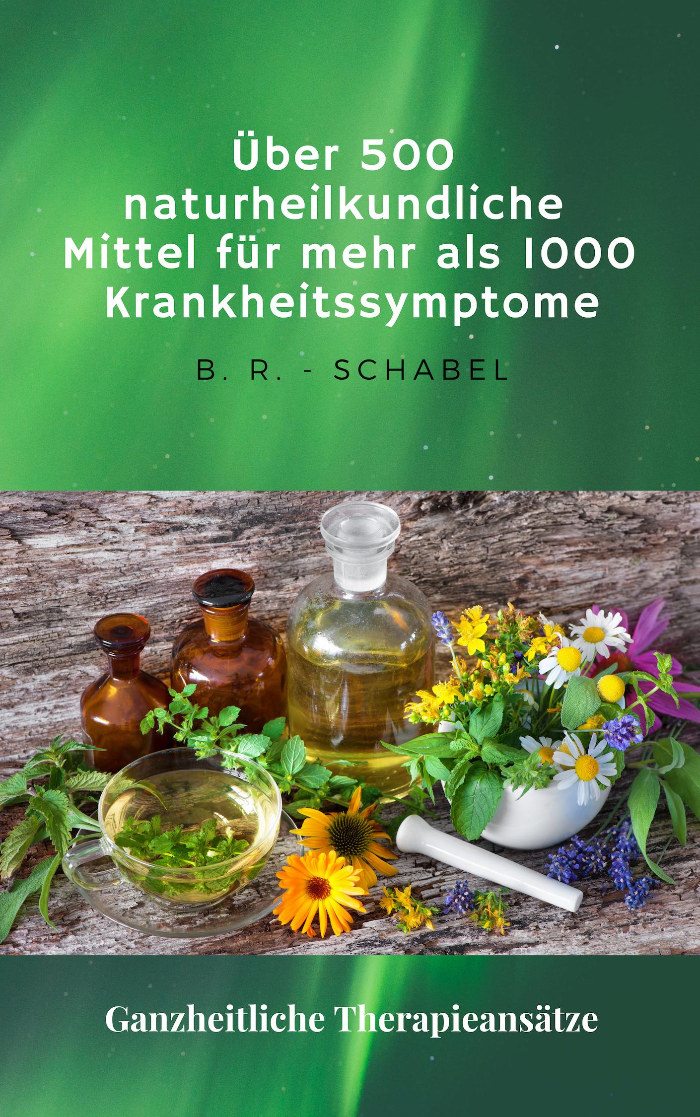 Über 500 naturheilkundliche Heilmittel für mehr als 1000 Krankheitssymptome: Ganzheitliche Therapieansätze (E-Book)
